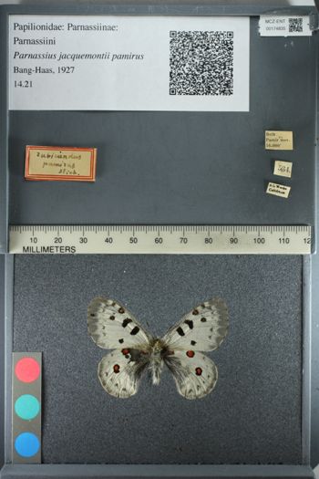 Media type: image;   Entomology 174835